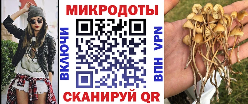 Псилоцибиновые грибы мухоморы  MEGA ССЫЛКА  Ачхой-Мартан 